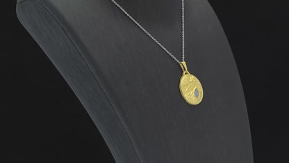 Muonionalusta Marvelous Meteorite Specimen Galaxy Pendant in Goldtone with Stainless Steel Necklace 20 Inches